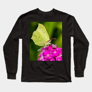 Butterfly taking a snack Long Sleeve T-Shirt